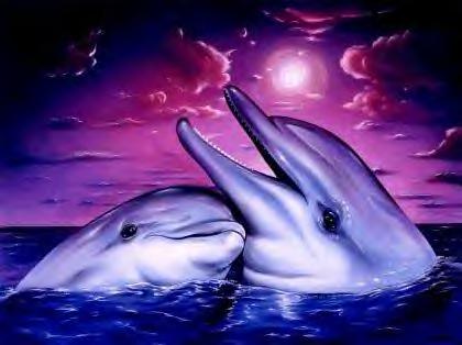 SOS Grand Bleu, protection des dauphins et des mammifères marins. 