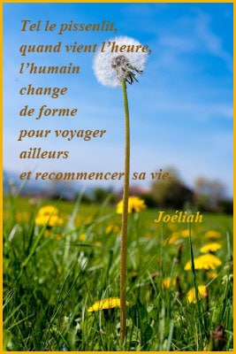 Ne Pleure Pas Si Tu M Aimes Poeme De Saint Augustin Le Jardin De Joeliah Le Jardin De Joeliah