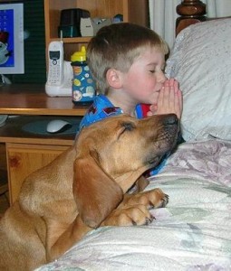 enfant et chien qui prie